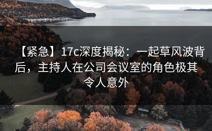 【紧急】17c深度揭秘:一起草风波背后,主持人在公司会议室的角色极其令人意外 【紧急】17c深度揭秘:一起草风波背后,主持人在公司会议室的角色极其令人意外