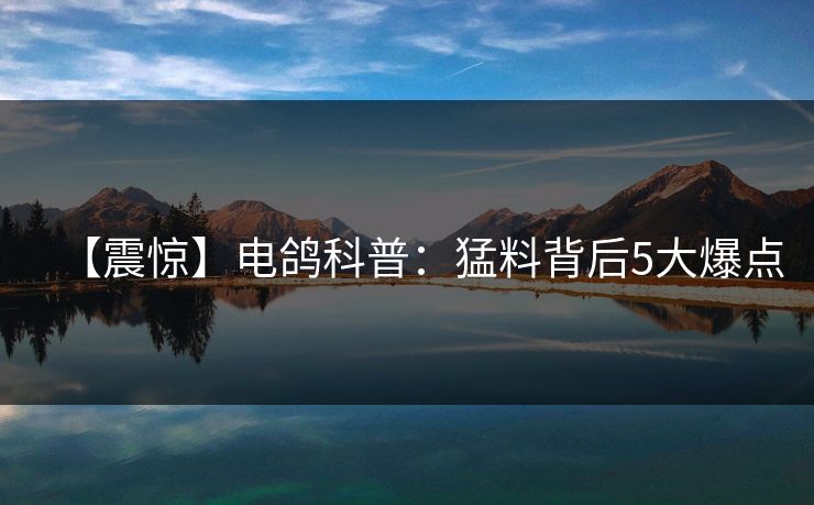 【震惊】电鸽科普:猛料背后5大爆点 【震惊】电鸽科普:猛料背后5大爆点