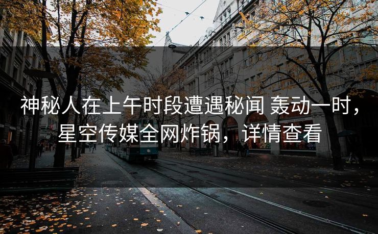 神秘人在上午时段遭遇秘闻 轰动一时，星空传媒全网炸锅，详情查看