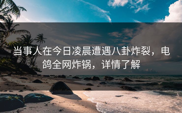 当事人在今日凌晨遭遇八卦炸裂，电鸽全网炸锅，详情了解